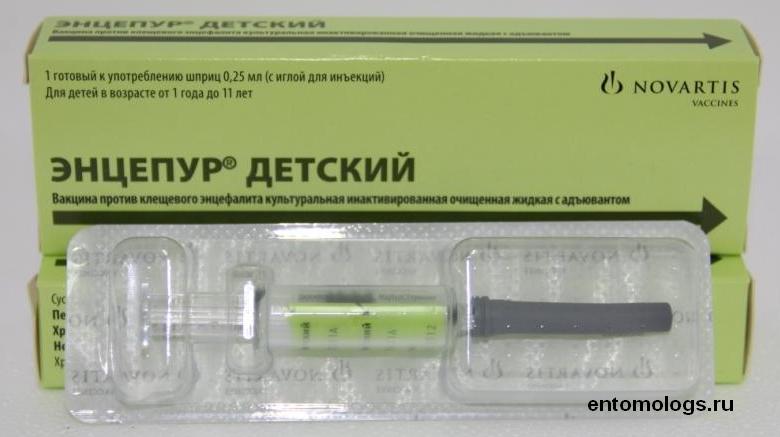 Вакцина клещевого энцефалита; Энцевир; культуральная очищенная концентрированная инактивированная сорбированная жидкая 